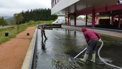 Accessoire piscine ecologique